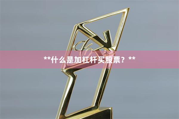 **什么是加杠杆买股票？**